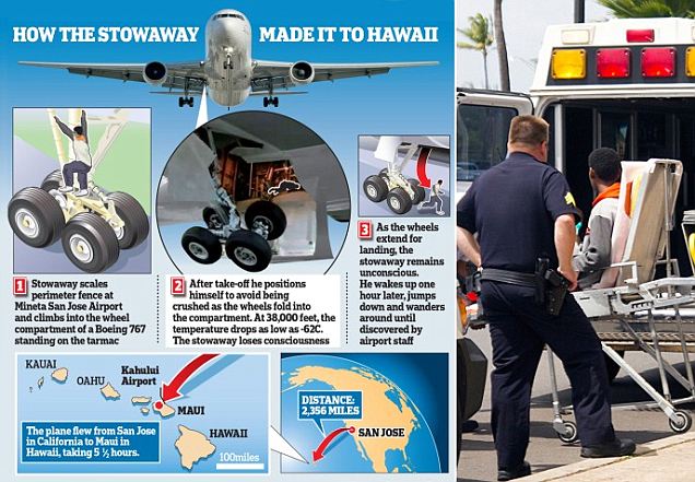 Penumpang Gelap di Roda Pesawat selama 5 Jam